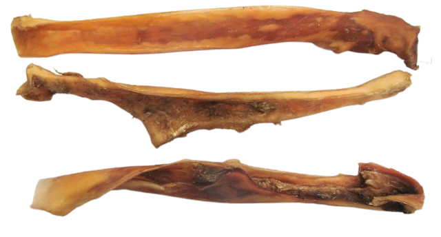 Peau de tête de boeuf 70cm 