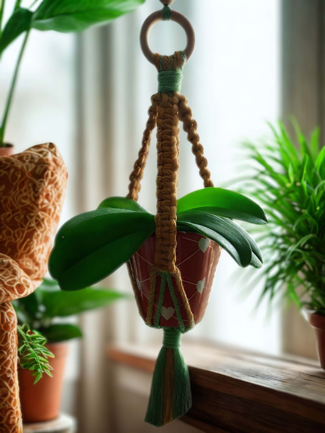 Mini PORTE-PLANTE en macramé