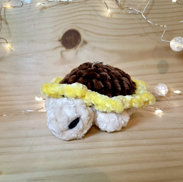 Petite tortue tournesol