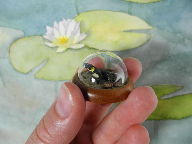 slithering through the sand - Among the lilypads - Miniature diorama Jewelry - Clear glass dome with delicate handmade grass snake on sandlace (1)