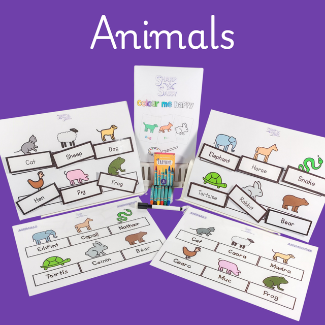 Animal Activity Pack (Ages 3-7) Fun, educational & reusable!