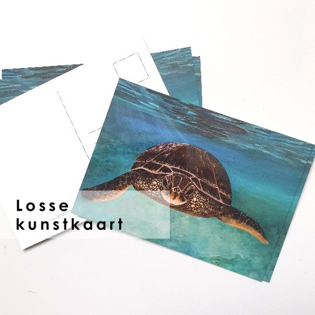 Losse postkaart Schilderpad - liggend (zonder envelop)