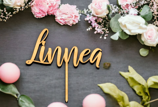 Cake Topper Name personalisiert