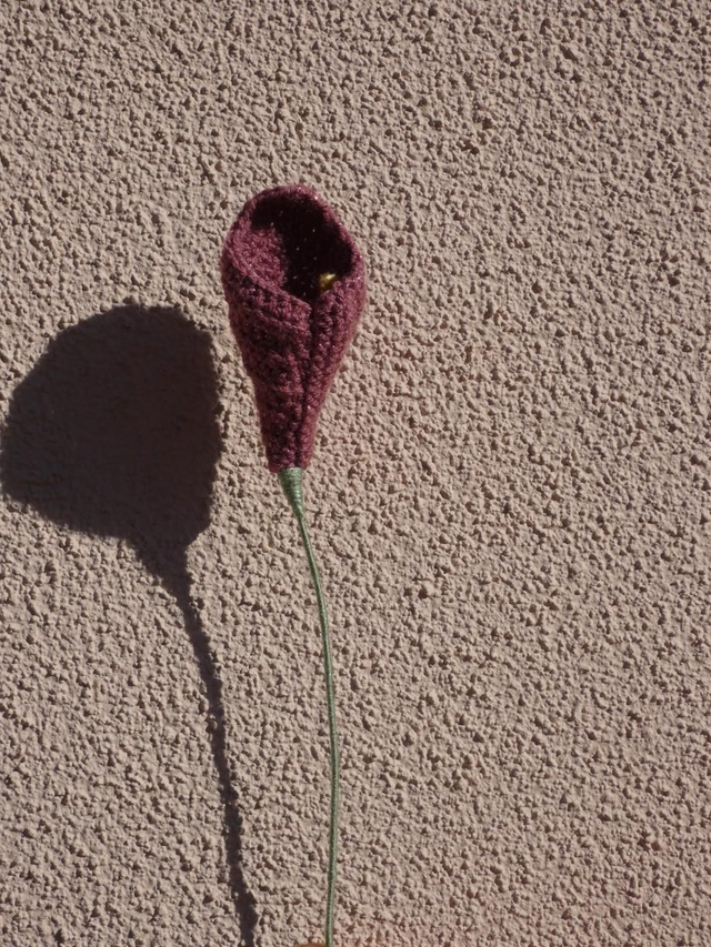 Arum rose foncé pailleté 