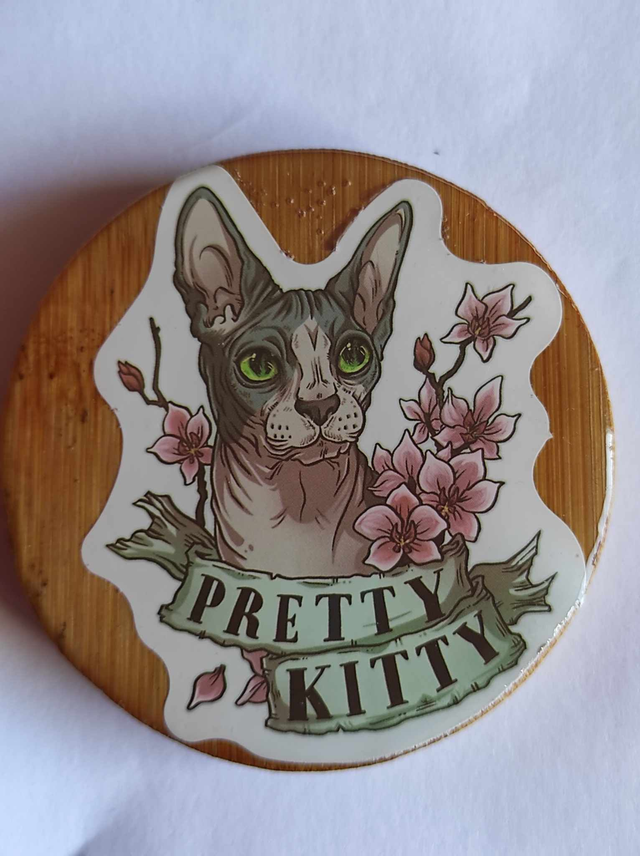 Décapsuleur Chat Sphynx magnétique frigo