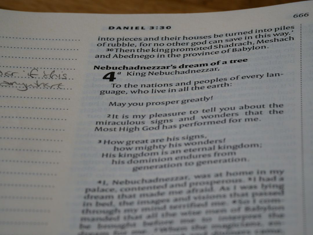 Préparation examen A2 (BAPD)