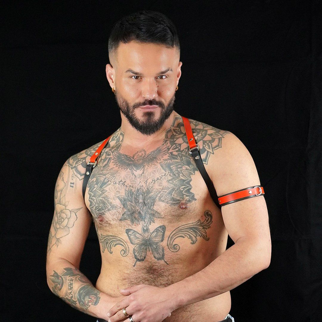 Red &amp; Black Leather Shoulder Harness