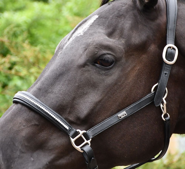 Rhinegold Rocco Italia Milano Leather Headcollar