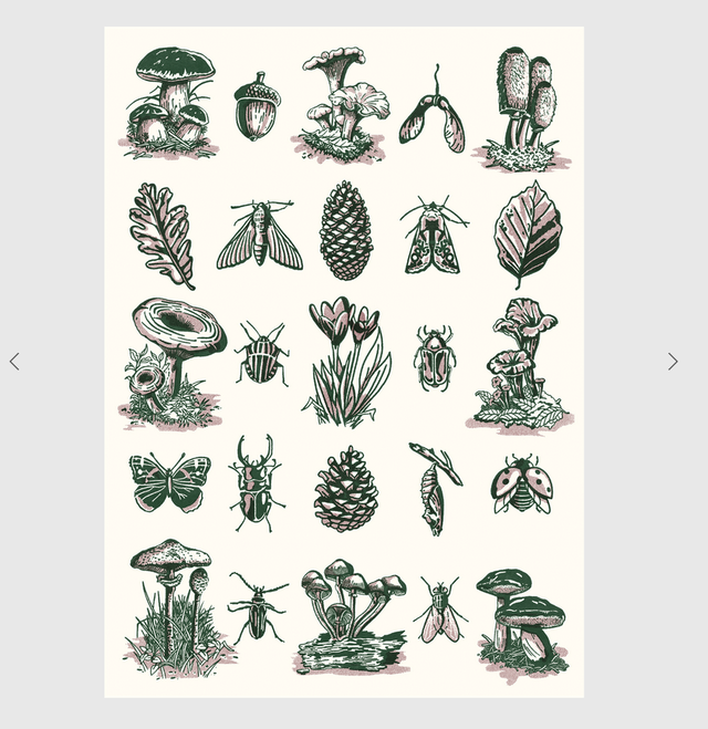 Plakat Funghi von Opak