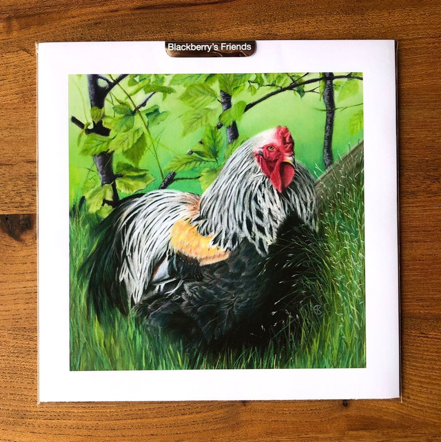 Print (medium) 'DE HAAN' (Konijnenparadijs)