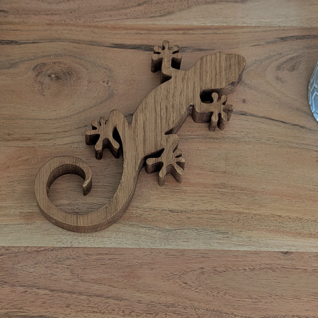 Salamandre en chêne