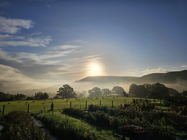 Brush Strokes & Blooms - Wednesday 20th August -Sunrise Edition - 6am -10am