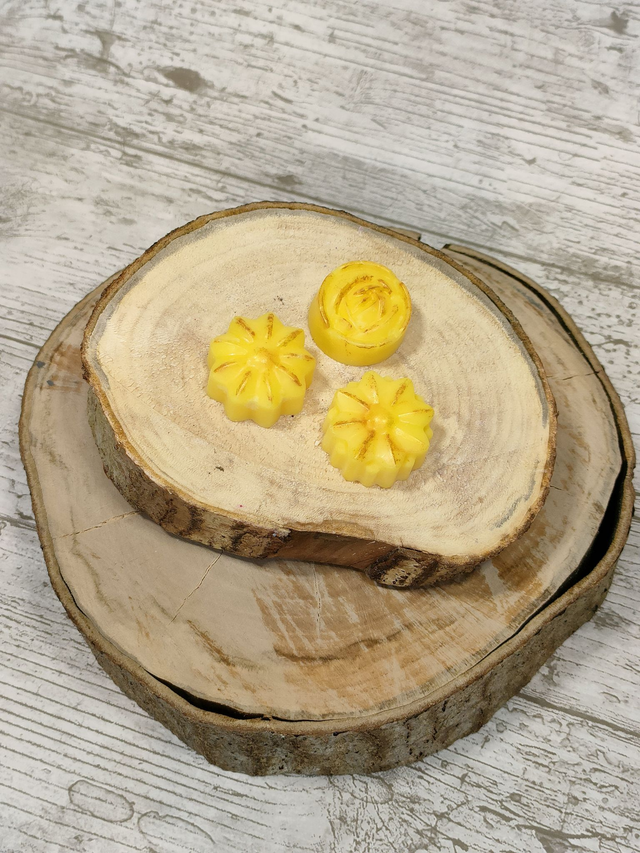 Citronella Wax Melts