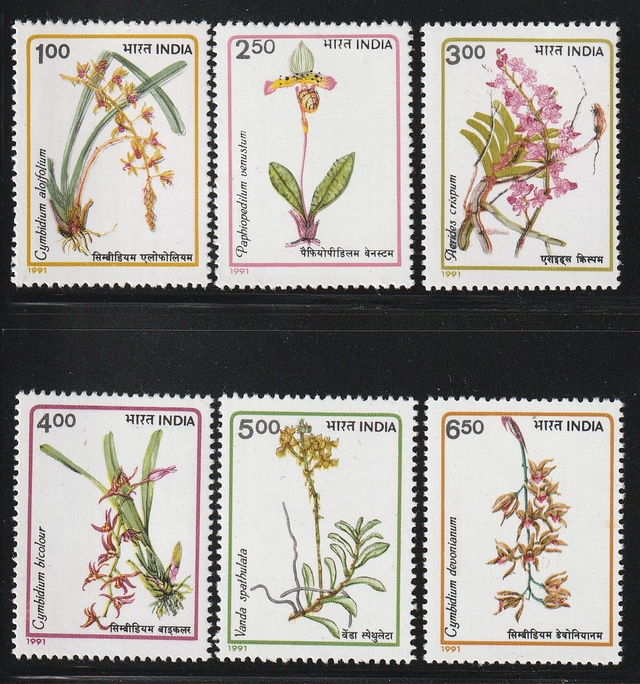 India 1991 Flowers,Orchids Set MNH