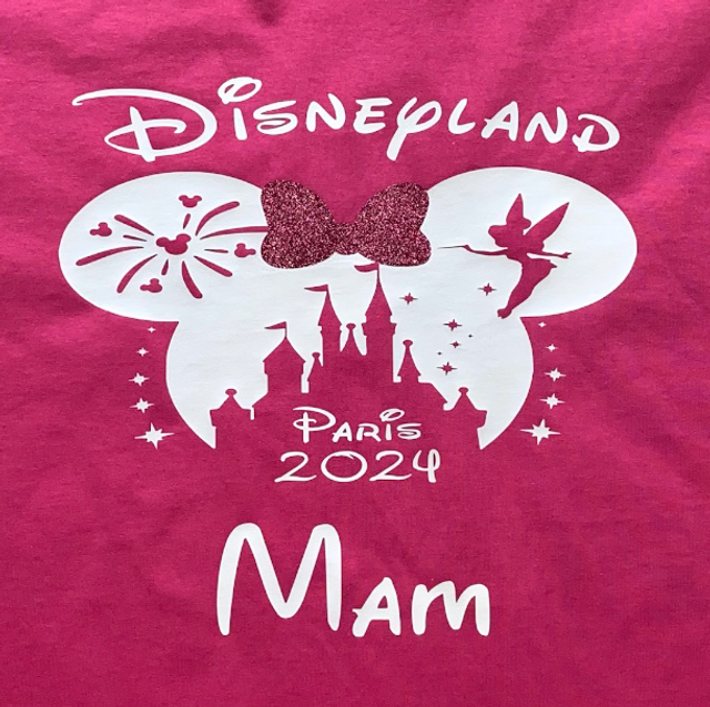 Disneyland castle silhouette hoodie