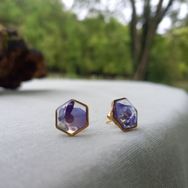 Puces d'oreilles ∙ doré ⬡ hexagonales Lobelia 