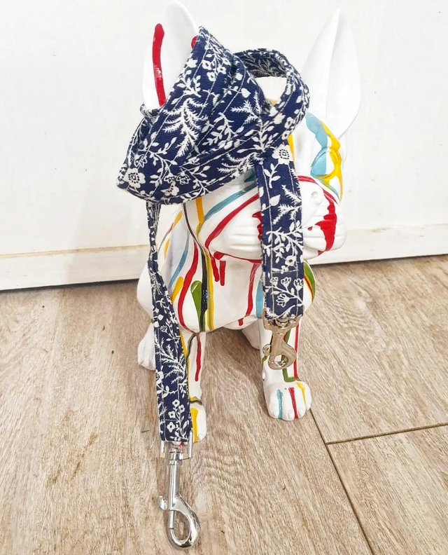 TIP_Laisse15 ◾️Flores