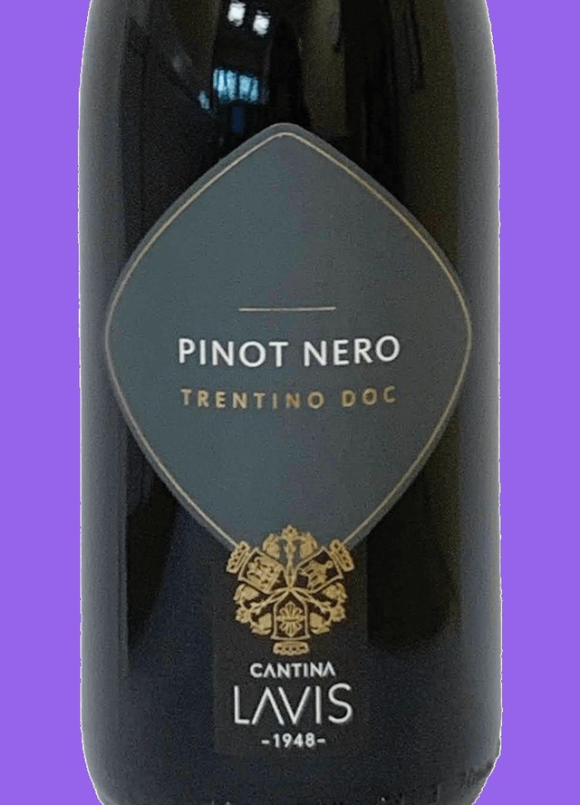 Cantina Lavis Pinot Nero, 2024, Trentino