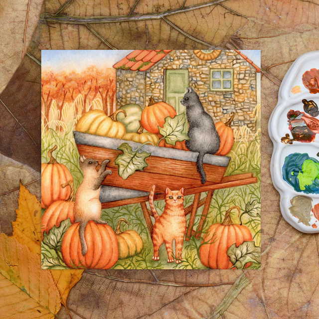 Pumpkin Patch
