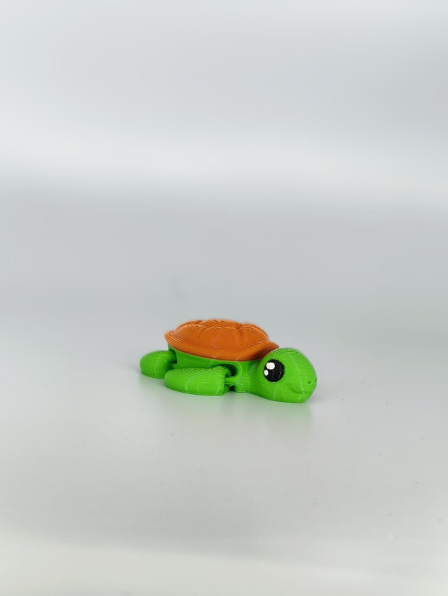Turtle Jnr