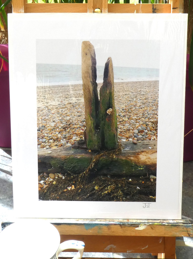 Photographic Open Edition Print, from my "Water Flows" collection, "Wood Water Eternal" 