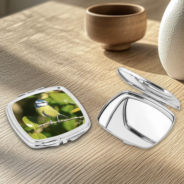 "Beautiful Blue tit" Compact Mirror  
