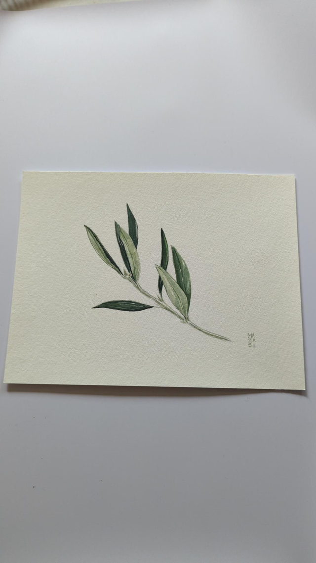 Feuille d&#039;Olivier!