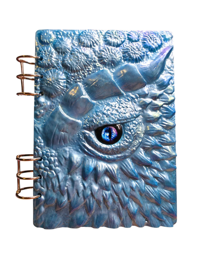 Carnet Dragon Jubia