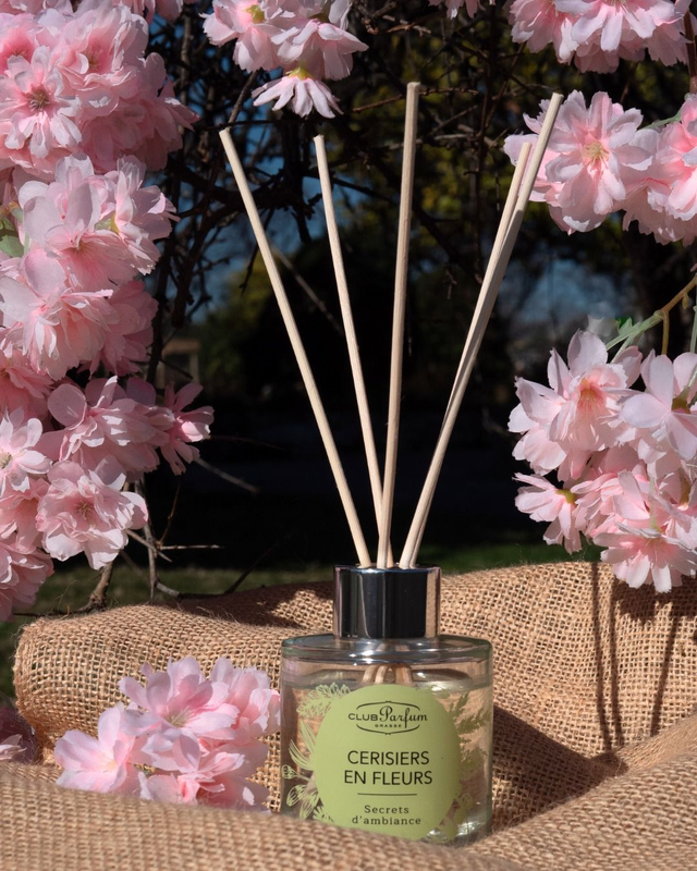 Secret d&#039;ambiance CERISIERS EN FLEURS