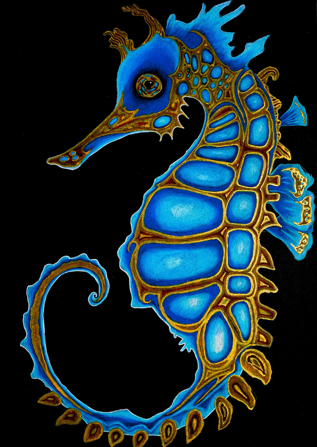 Seepferdchen Gold - Original