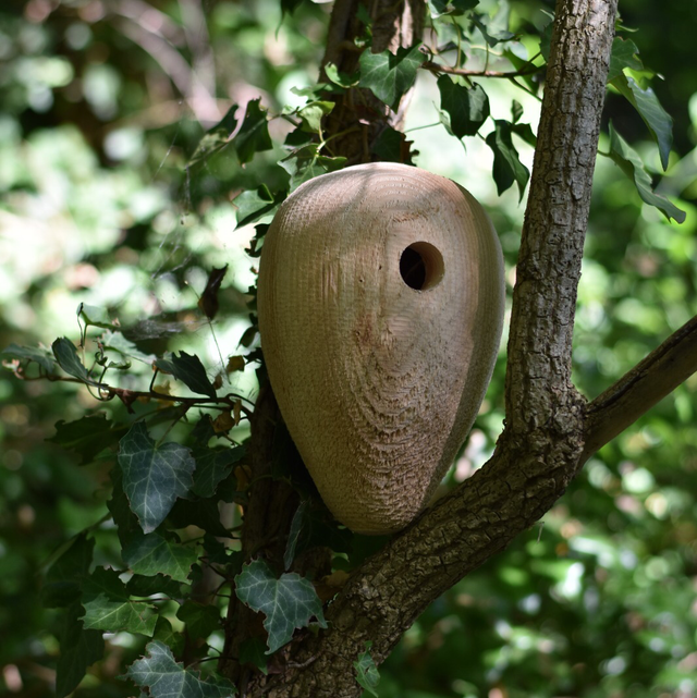 Nichoir - Nid de pin 