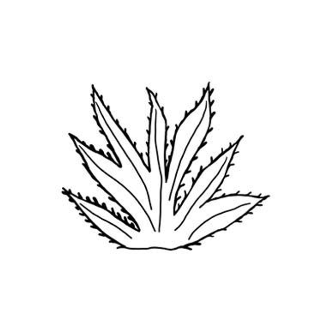 Stempel Aloe Vera I 4x4cm