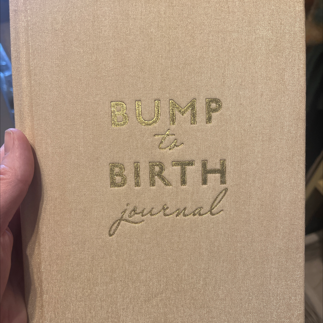 Bump to birth book