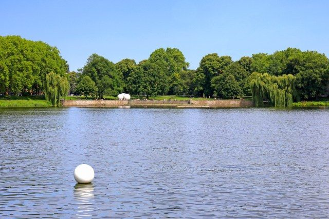 Aaseekugel auf dem See
