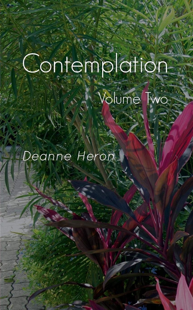 Contemplation Volume 2