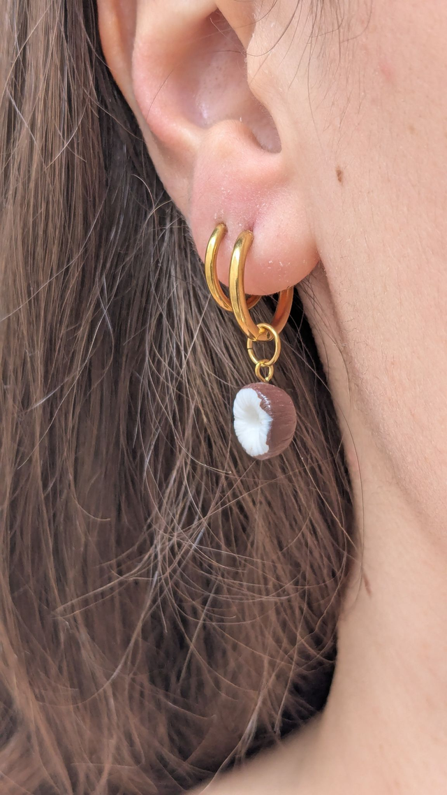 Charm noix de coco