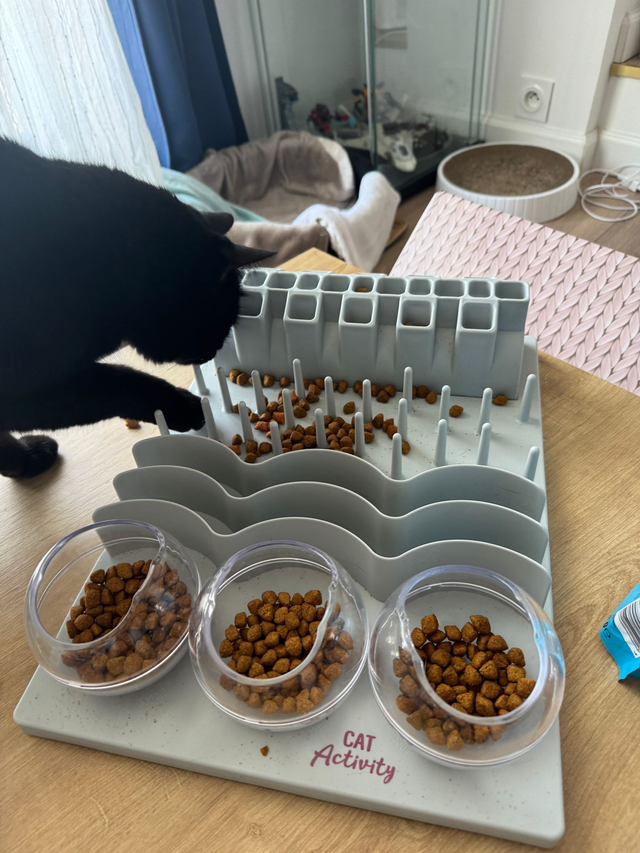 Plateau fun board XXL Trixie