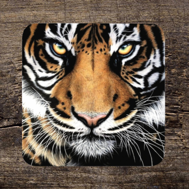 ‘Tiger’ Coaster