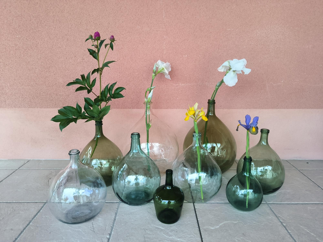 Collection de Dames Jeanne 