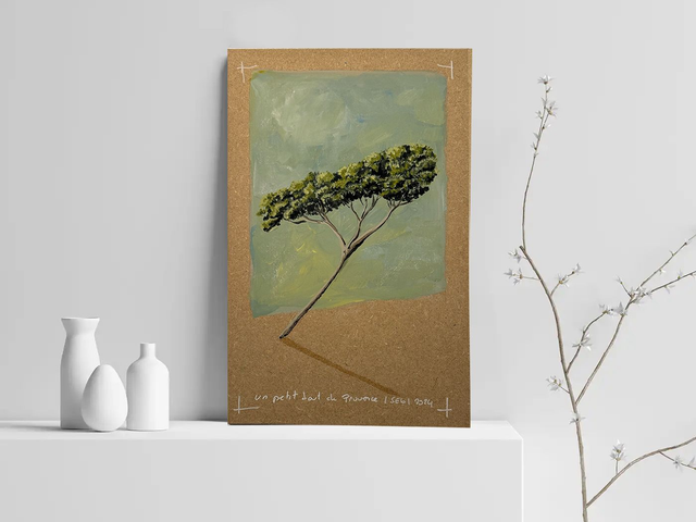 Pin parasol-Aix en Provence-02