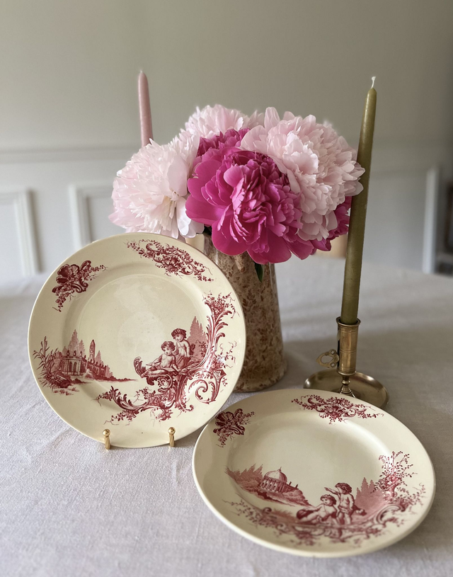 TRIANON - Duo d'assiettes plates modèle Trianon de la manufacture Jules Vieillard - Terre de Fer