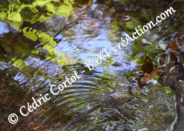 Carte postale - Reflets et cours d'Eau (Ref P1190150)