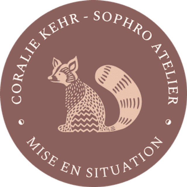 1 ATELIER SOPHRO MISE EN SITUATION CHAMBERY (ou EVIAN 1/mois) Adulte-Ado INDIVIDUEL à DOMICILE de 3h30 - (prix par personne - Entreprises sur devis)