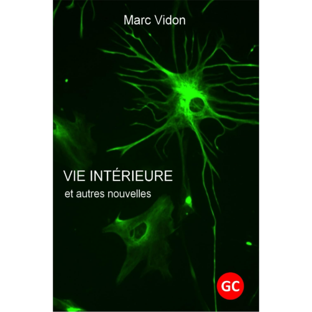 Vie intérieure et autres nouvelles - Edition Grands Caractères