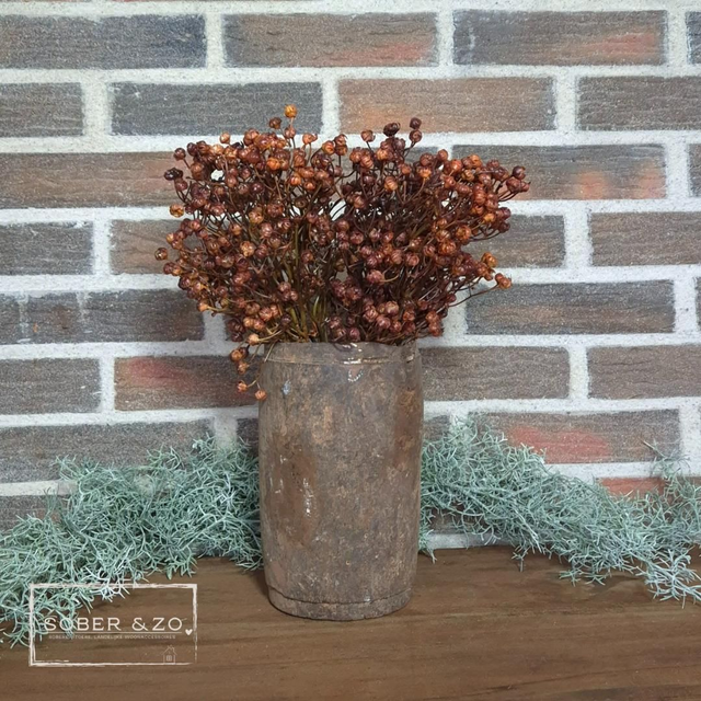 Gipskruid koper/bruin