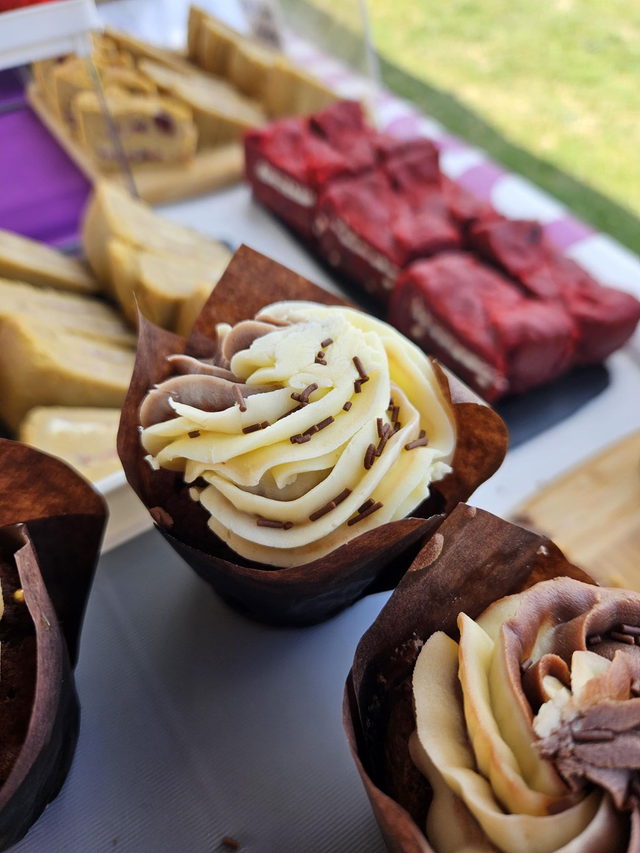 Chocolate Swirl Cupcake