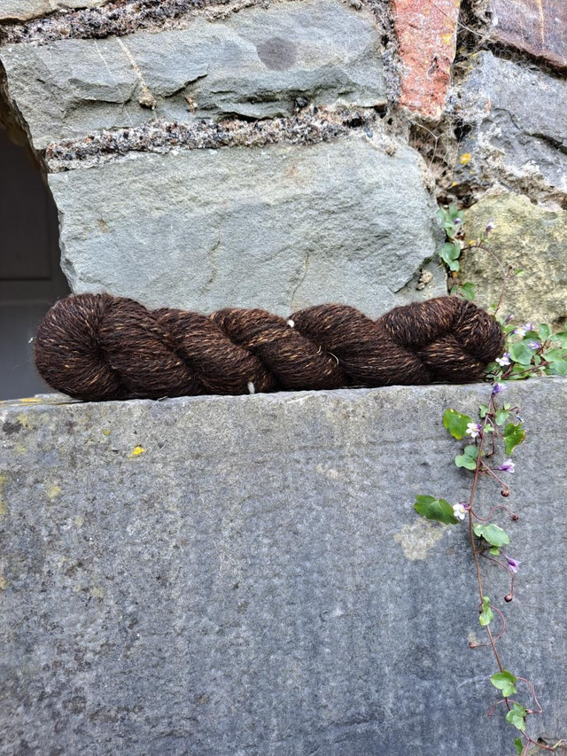 Alpaca with Muga silk 61 grams