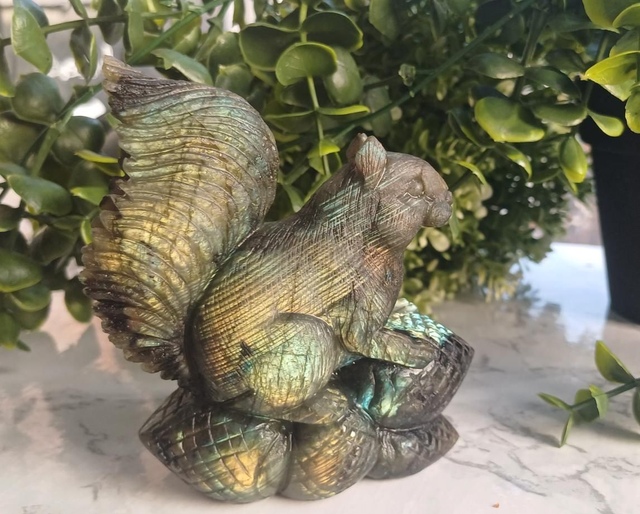 High Quality Labradorite Squirrel