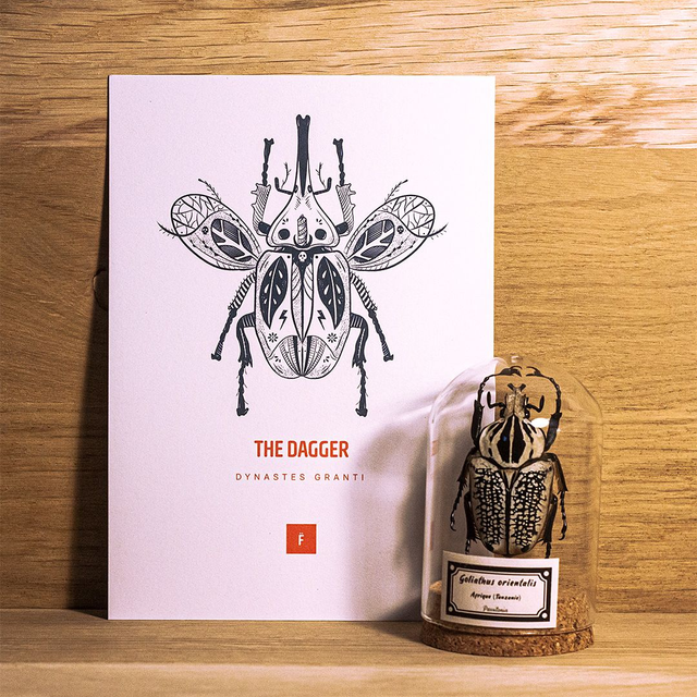 _A5 / The dagger