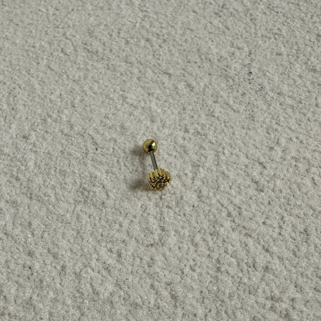 PIERCING D’OREILLE DESLUMBRANTE 